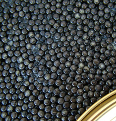 Organic Caviar