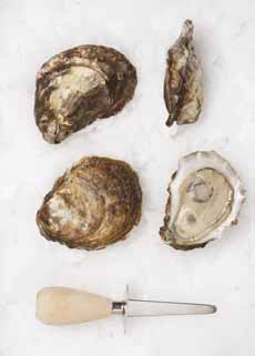 Bluepoint Oysters