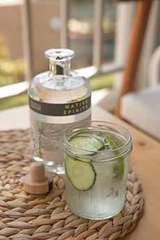 Gin & Tonic With Cucumber