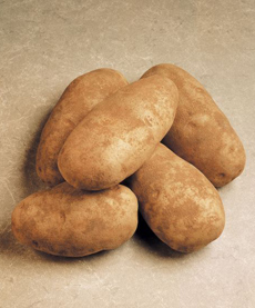 5 Russet Idaho Potatoes
