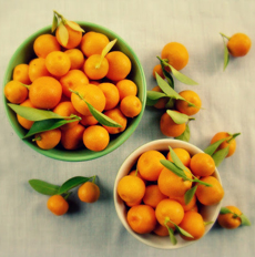 Calamondin Oranges