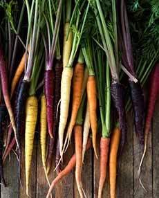 Carrots In Different Colors