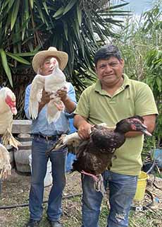 Ducks Used In Five Spice Duck Pechuga