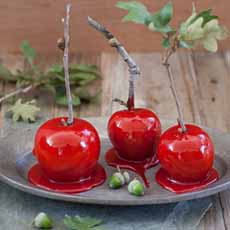 Candy Apples With Twigs Instead Of Sticks