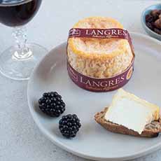 Langres cheese with a glass of red Burgundy