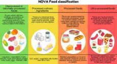 NOVA Food Classification