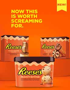 Reese's Peanut Butter Ice Cream Cartons