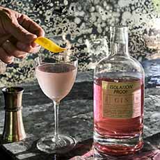 Isolation Proof Strawberry Rhubarb Gin