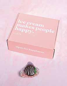 Andia Chocolate Covered Ice Cream Strawberries