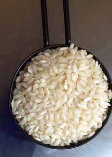 Scoop Of Arborio Rice