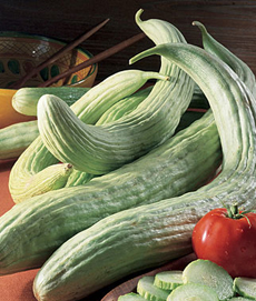 Armenian cucumbers have ridged skin in a light green, and they curve (they aren't straight).