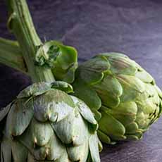 Fresh Artichokes
