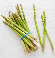 Bunch of Fresh Asparagus