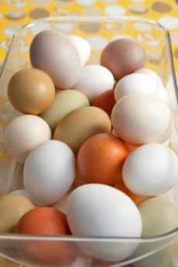 Natural Hens' Eggs Colors