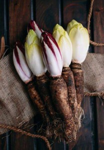 Endive With Root