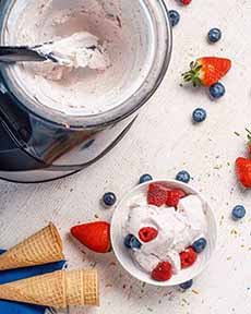 Tern Ice Cream Maker