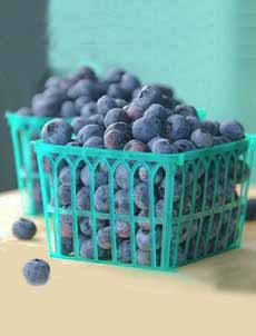 Carton Of Blueberries