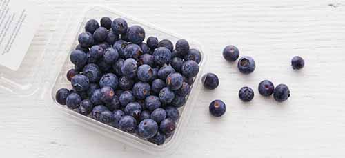A Carton Of Blueberries