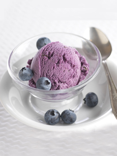 Blueberry Ice Cream With Fresh Blueberries