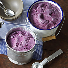 Tub Of Blueberry Ice Cream