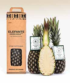 Am Elefante green sugar loaf pineapple from Ghana.