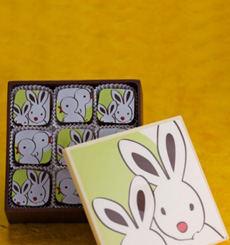 bunny-box-2010-230