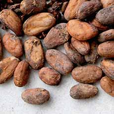 Cacao Beans