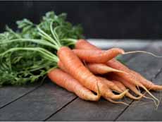Carrots With Tops