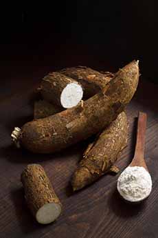 Cassava Roots & Flour