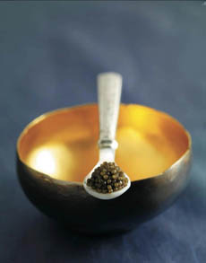 caviar-spoon-gold-dish-petrossian-230