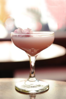 Pink Sakura: A Cherry Blossom Nigori Sake Cocktail