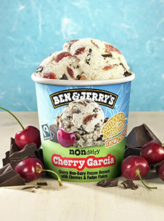 A Pint Of Cherry Garcia Frozen Yogurt