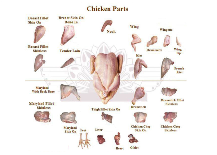Chicken Parts Chart