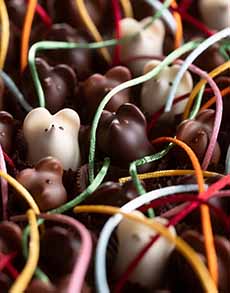 Burdick Chocolate Mice