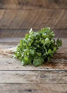 Bunch Of Cilantro