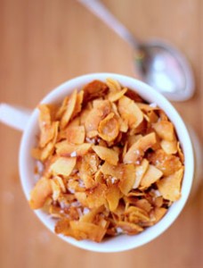 coconut-chips-wholepurerecipes-230r