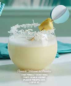 Pina Colada With A Coconut Rim