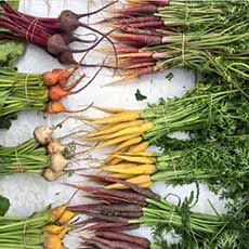 Colored Carrots & Beets