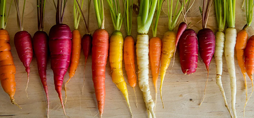 Different Carrot Colors