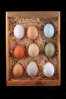 colored-eggs-230