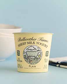 Container Of Bellwether Farms Sheep Yogurt - Plain