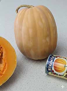 Dickinson Squash