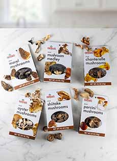 Different Dried Mushroom Varieties