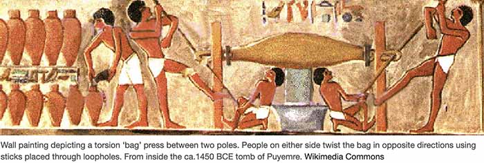 Tomb Art Of Egyptians Pressing Oil