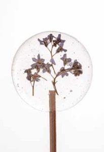 Homemade Lollipops With Embedded Flowers