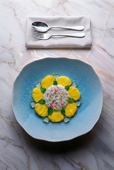 Fancy Tapioca Pudding