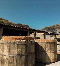 Large Wood Mezcal Fermentation Vats