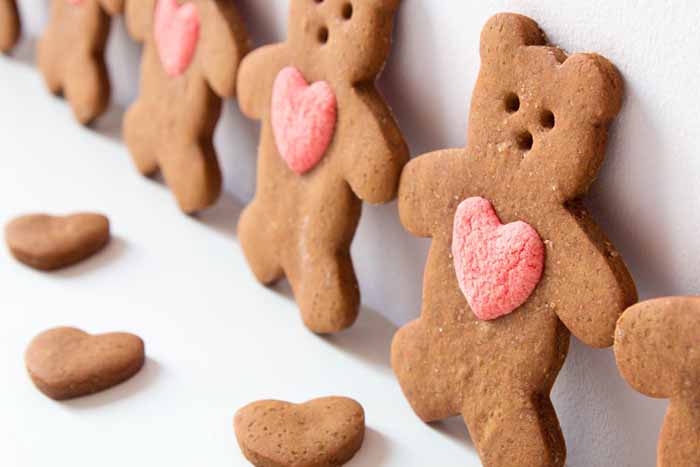 Gingerbread Teddy Bear
