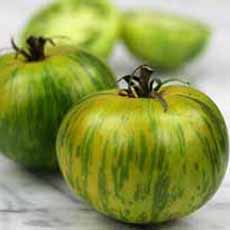 Green Zebra Tomatoes