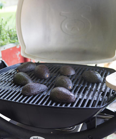 Avocados On The Grill